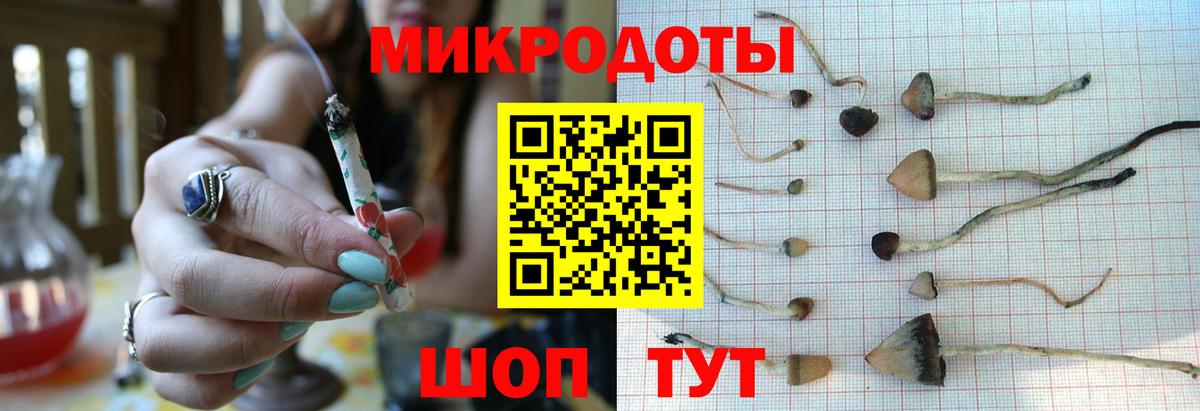 Галлюциногенные грибы мицелий  купить наркоту  Каменск-Шахтинский  Вход с VPN 